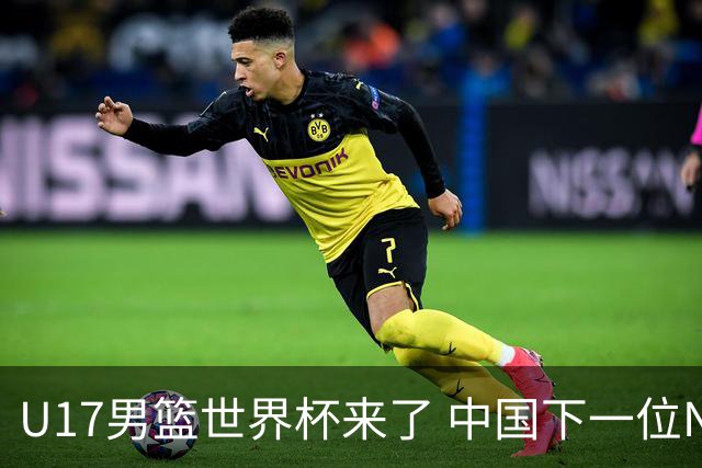 U17男篮世界杯来了 中国下一位NBA球员或就在其中